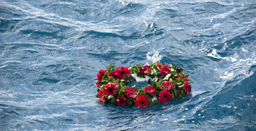 Wreathsea